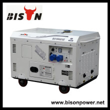 BISON (CHINA) Generador silencioso de la alta calidad 60db 11kva